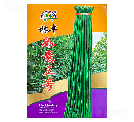 ������̖-�����N��-���S�N��