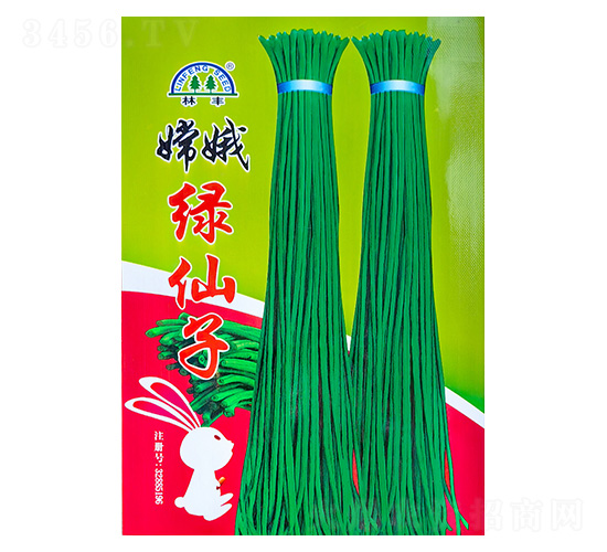 �϶�G����-�����N��-���S�N��