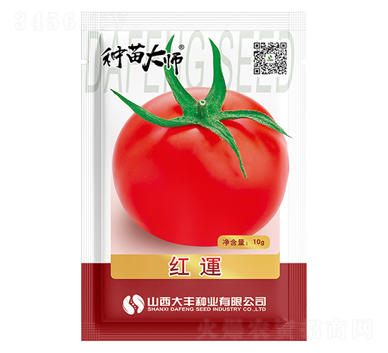 �t�\(y��n)-���ѷN��-���S�N�I(y��)