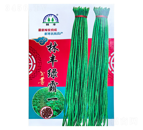 ���S�����N��-���S�N��