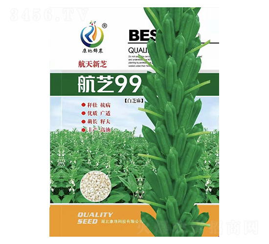 ��֥-֥��N��-���ؿƼ�