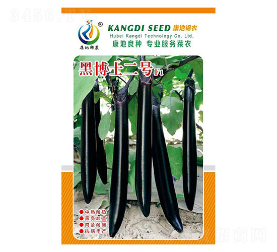 �ڲ�ʿ2̖-���ӷN��-���ؿƼ�