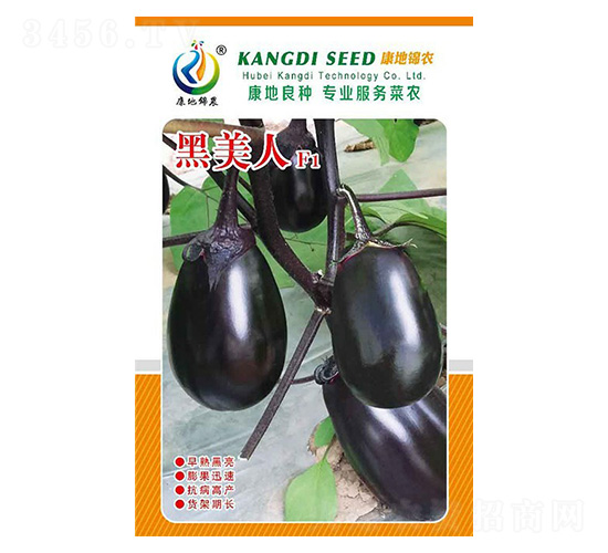 ������-���ӷN��-���ؿƼ�