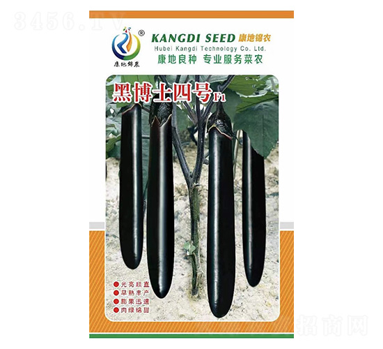 �ڲ�ʿ4̖(h��o)-���ӷN��-���ؿƼ�