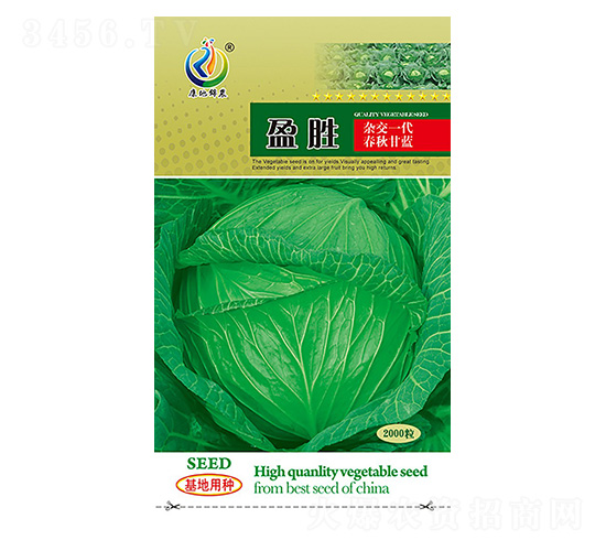 ӯ��-���{(l��n)�N��-���ؿƼ�