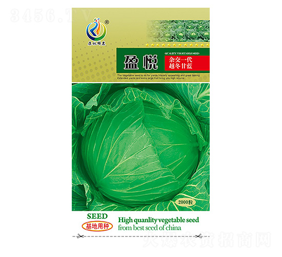 ӯ��-���{(l��n)�N��-���ؿƼ�