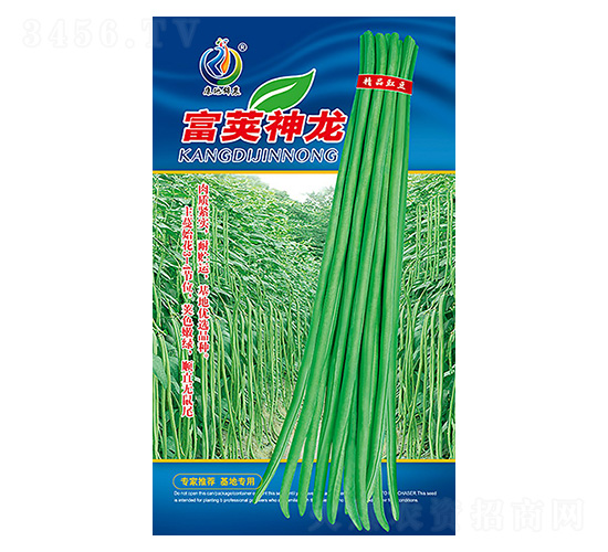 ���v����-�����N��-���ؿƼ�