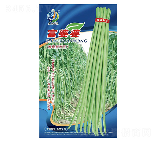 ������-�����N��-���ؿƼ�