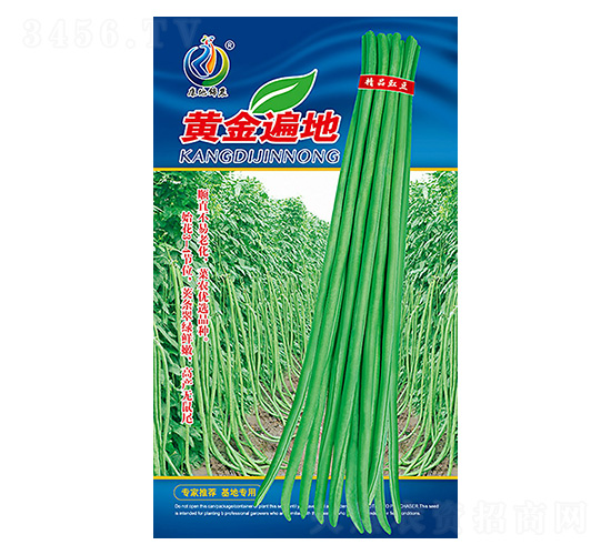 �S����-�����N��-���ؿƼ�