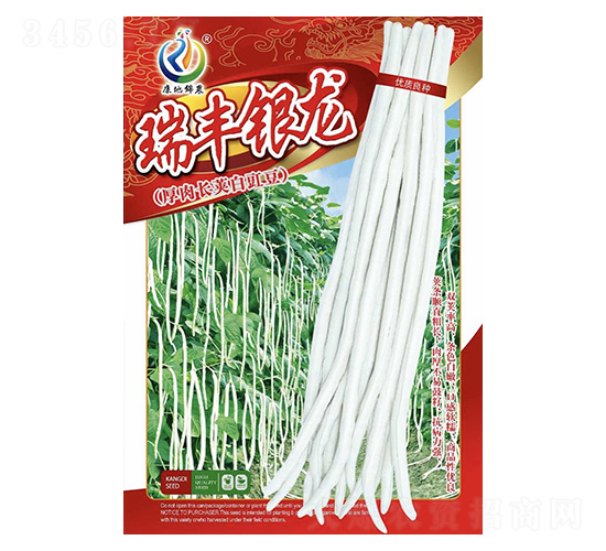 ���S�y��-�����N��-���ؿƼ�