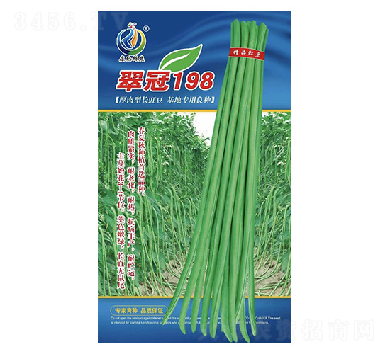 ���198-�����N��-���ؿƼ�