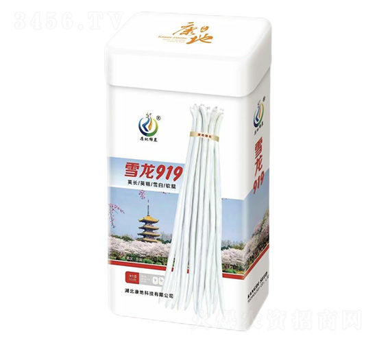 ѩ��919-�����N��-���ؿƼ�