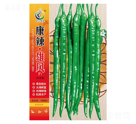 ���L-�����N��-���ؿƼ�