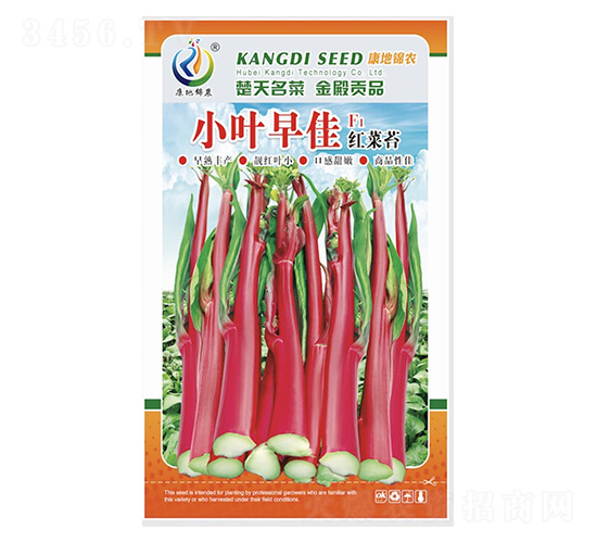 С�~���-��޷�N��-���ؿƼ�