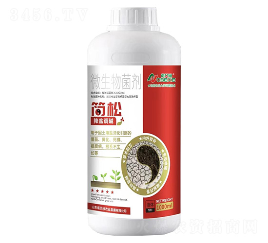 ����΢�������-�Zؐ��