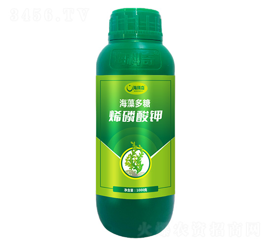 �������ϩ�����-������