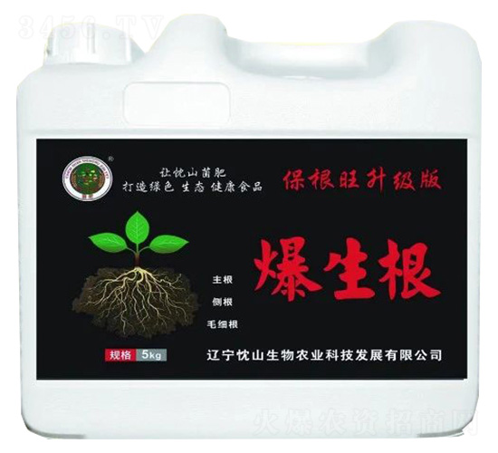 ������-��ɽ����