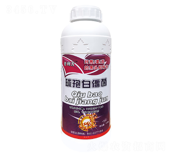 ���߰׽���-���طʘI(y��)