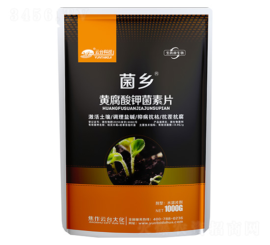 �S����⛾���Ƭ-���l(xi��ng)-���_��