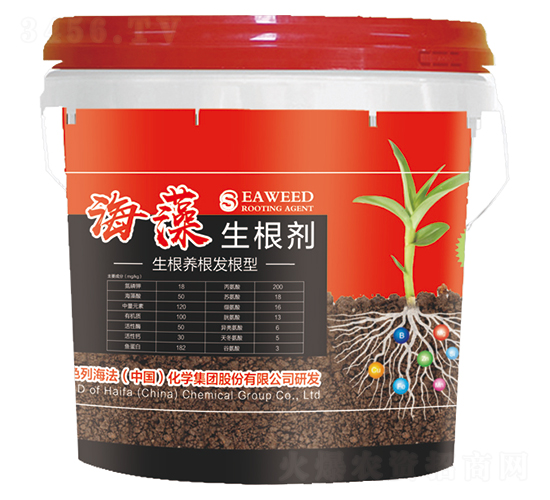 ����������-���ͷ�