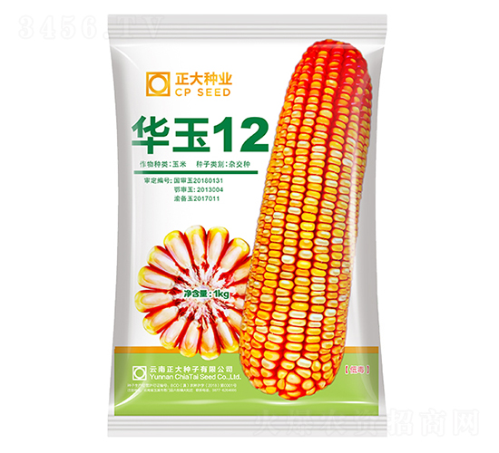 �A��12-���׷N��-����N�I(y��)