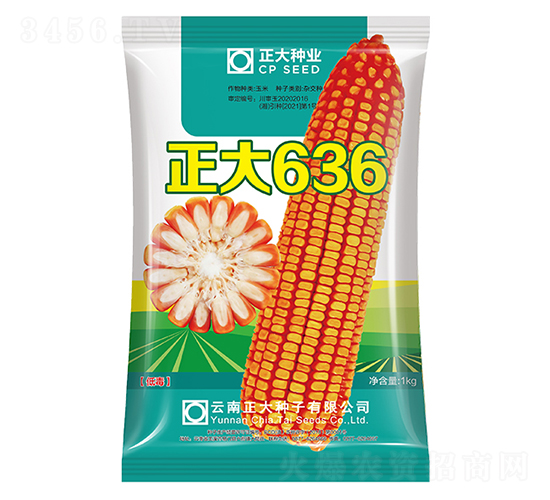 ����636-���׷N��-����N�I(y��)