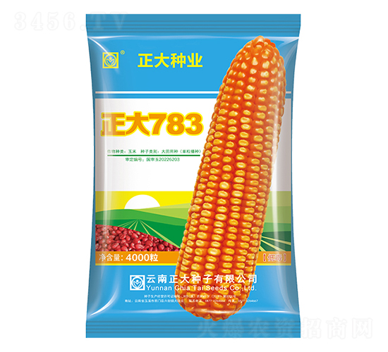 ����783-���׷N��-����N�I(y��)