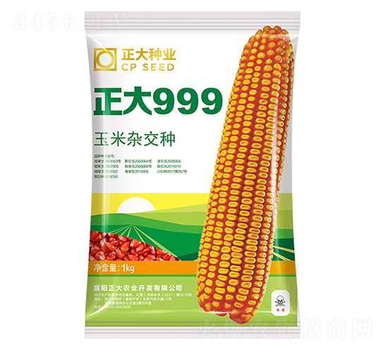 ����999-���׷N��-����N�I(y��)