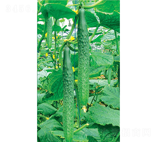 �ɶ����O��-�S�ϷN��-�͝�(r��n)�r(n��ng)�I(y��)