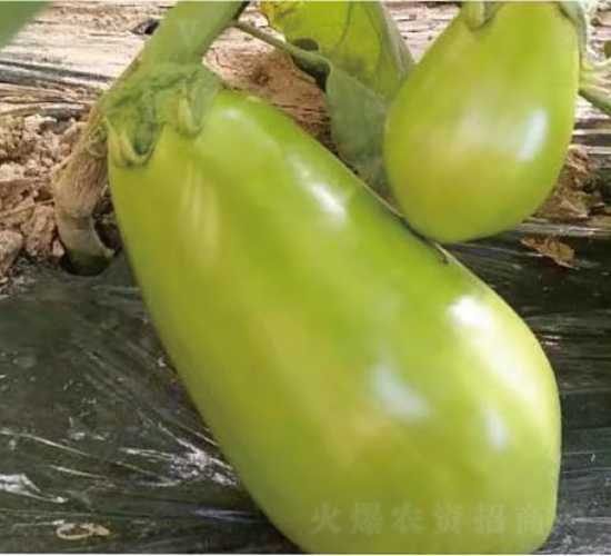 �͝��G��1̖-���ӷN��-�͝��r(n��ng)�I(y��)