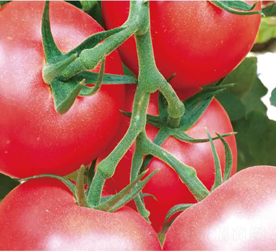 �hķ097-���ѷN��-�͝��r(n��ng)�I(y��)