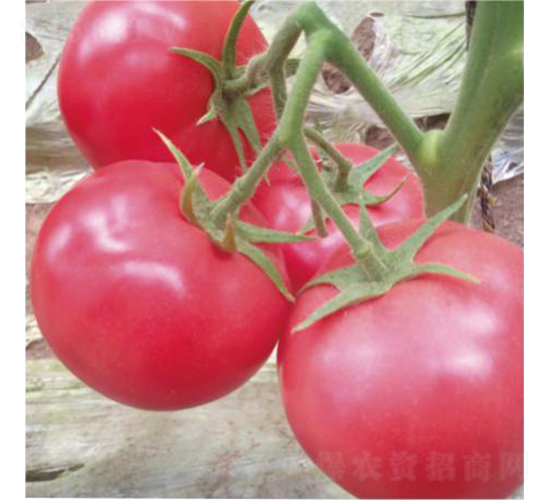 �hķ1350-���ѷN��-�͝�(r��n)�r(n��ng)�I(y��)