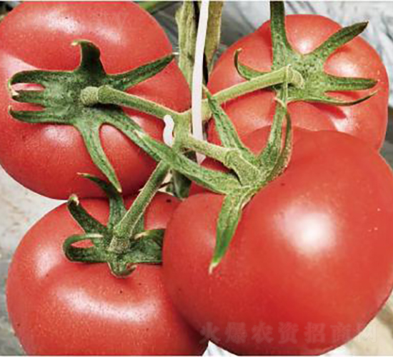 �hķ075-���ѷN��-�͝��r�I(y��)