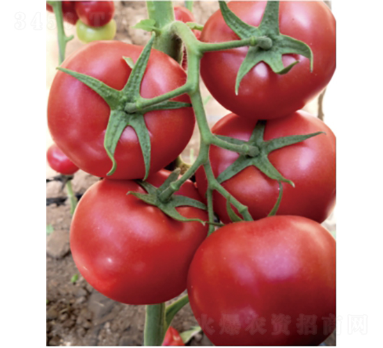 ̩��501-���ѷN��-�͝�(r��n)�r(n��ng)�I(y��)