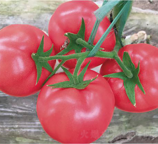 �hķ1601-���ѷN��-�͝��r(n��ng)�I(y��)