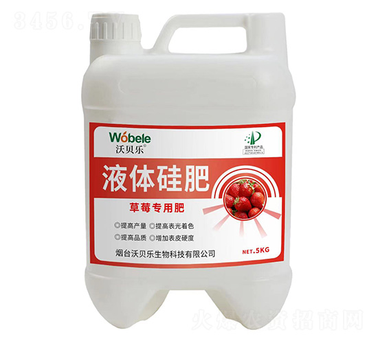 ��ݮ����Һ�w���-��ؐ��