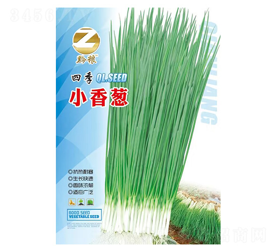 �ļ�С���[-ǭ�Z-�����r(n��ng)�I(y��)