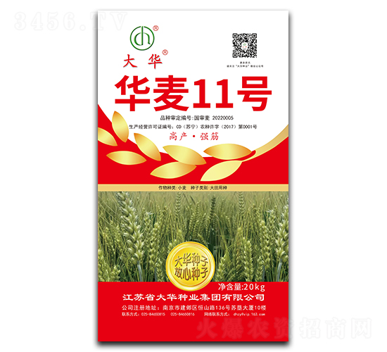 �A��11̖-С���N��-���A�N�I(y��)