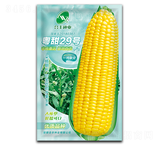 ����29-���׷N��-���S�N�I(y��)