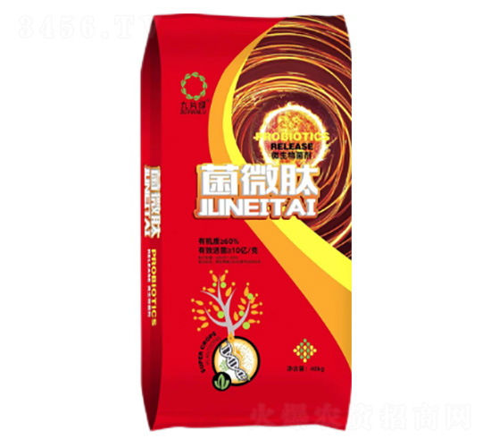 10�|΢�������-��΢��-���r(n��ng)�S�ʘI(y��)