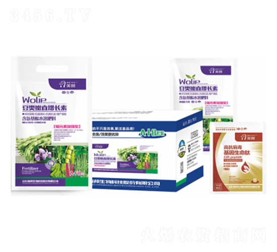 ������~���L��-嫰�����