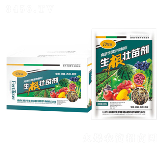 �������焩-嫰�����