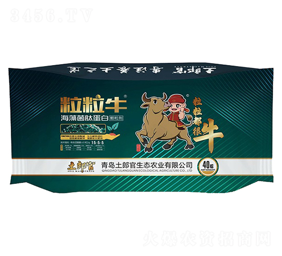 ����ţ������ĵ���-���ɹ�