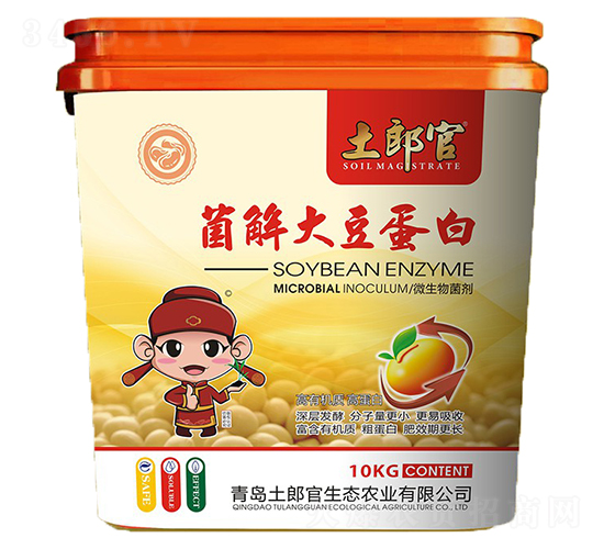 ����󶹵���-���ɹ�