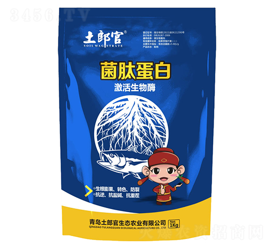 ���ĵ���-���ɹ�