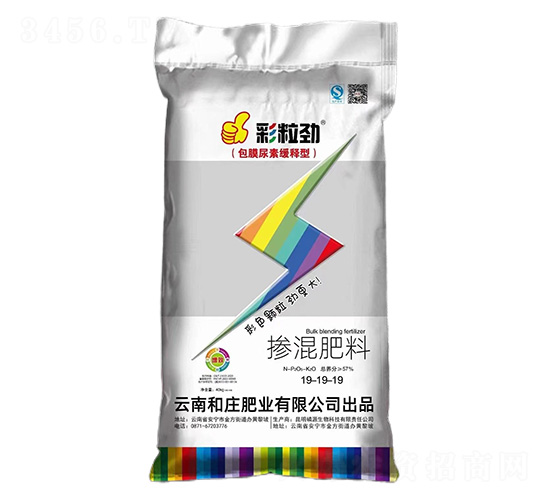 �������19-19-19-������-���f�ʘI(y��)