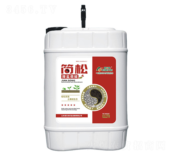 ����10kg-�Zؐ��