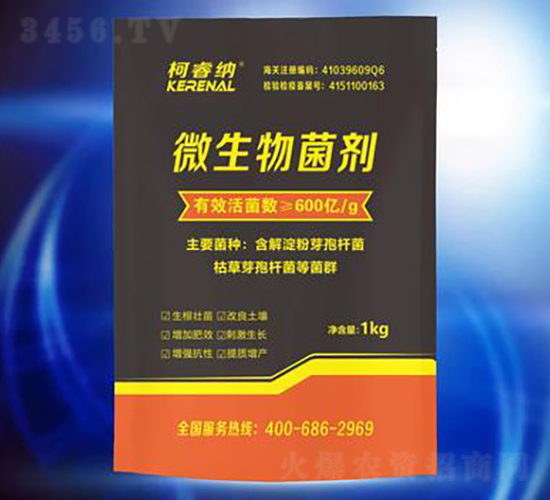 600�|����-��{