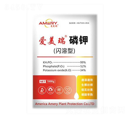 �W���͐��������-������