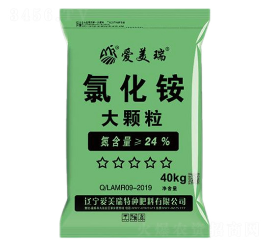 ���w���Ȼ��@-������